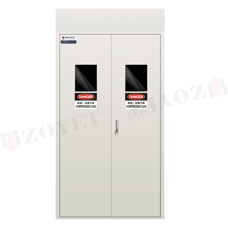 全钢气瓶柜 全钢气瓶柜